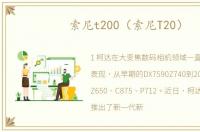 索尼t200（索尼T20）