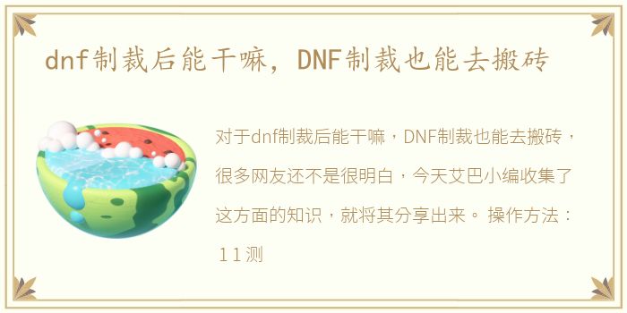dnf制裁后能干嘛，DNF制裁也能去搬砖