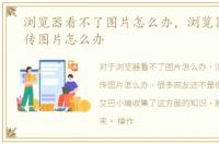 浏览器看不了图片怎么办，浏览器不能上传图片怎么办