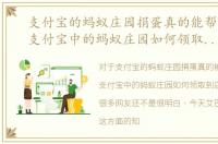 支付宝的蚂蚁庄园捐蛋真的能帮助人吗，支付宝中的蚂蚁庄园如何领取到店付款饲料