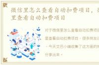 微信里怎么查看自动扣费项目，微信在哪里查看自动扣费项目