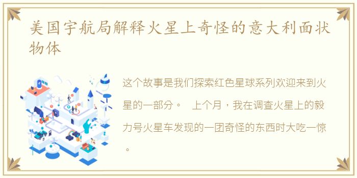 美国宇航局解释火星上奇怪的意大利面状物体