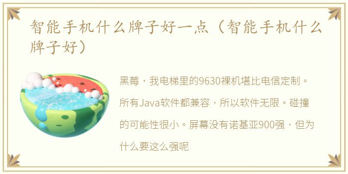 智能手机什么牌子好一点（智能手机什么牌子好）
