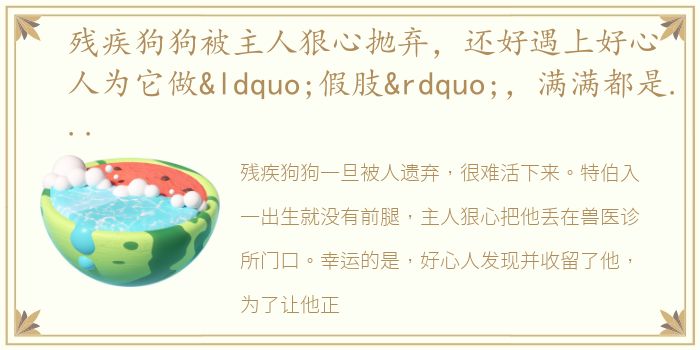 残疾狗狗被主人狠心抛弃，还好遇上好心人为它做“假肢”，满满都是正能量！