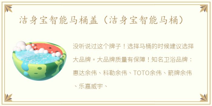 洁身宝智能马桶盖（洁身宝智能马桶）