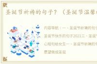 圣诞节祈祷的句子？（圣诞节温馨的句子）