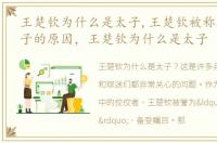 王楚钦为什么是太子,王楚钦被称为国乒太子的原因，王楚钦为什么是太子