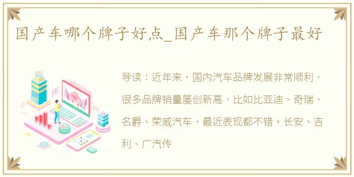 国产车哪个牌子好点_国产车那个牌子最好