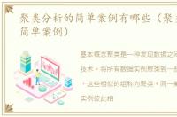聚类分析的简单案例有哪些（聚类分析的简单案例）