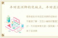 丰田亚洲狮的优缺点，丰田亚洲狮