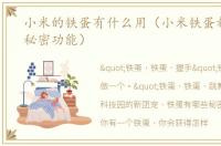小米的铁蛋有什么用（小米铁蛋都有哪些秘密功能）
